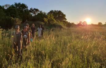 Botswana & Zimbabwe Lodge Safari