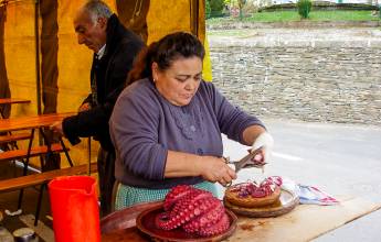 Trekking the Camino de Santiago
