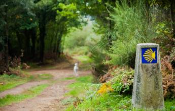 Trekking the Camino de Santiago