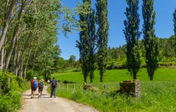 Trekking the Camino de Santiago