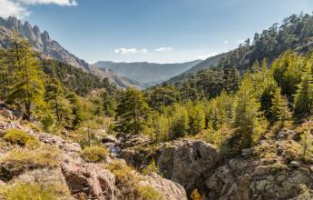 Hike Corsica’s Mountains & Coast