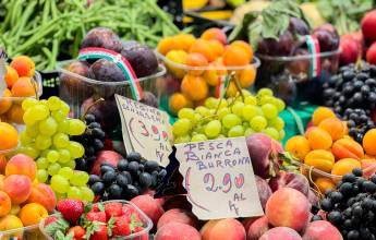 Discover Tuscany: Culture, Food & Wine