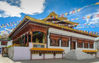 Search for Snow Leopards with Valerie Parkinson