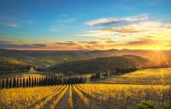 Tuscany Walks & Chianti Wines