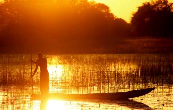 Botswana & Zimbabwe Lodge Safari