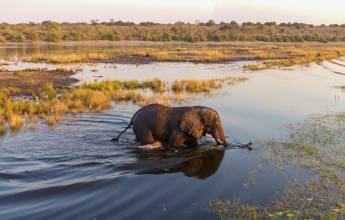 Botswana & Zimbabwe Lodge Safari