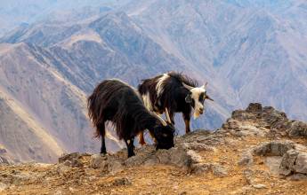 Climb Morocco’s Mt Toubkal