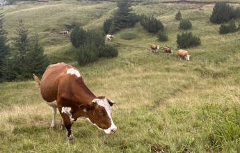 Walking in Bosnia & Herzegovina