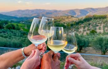 Tuscany Walks & Chianti Wines