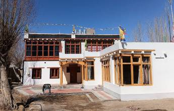 Search for Snow Leopards with Valerie Parkinson