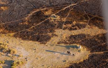 Botswana & Namibia: Delta & Dunes