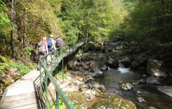 Hike Bulgaria’s Rodopi Mountains