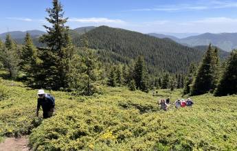 Hike Bulgaria’s Rodopi Mountains