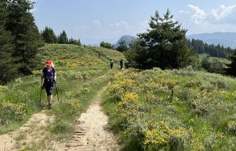 Hike Bulgaria’s Rodopi Mountains