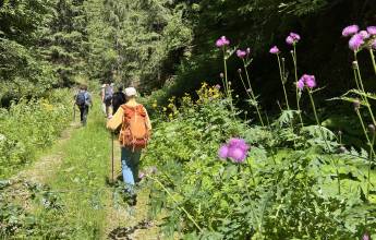 Hike Bulgaria’s Rodopi Mountains