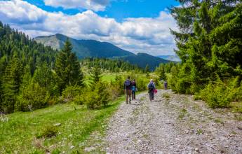 Hike Bulgaria’s Rodopi Mountains