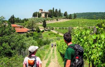 Tuscany Walks & Chianti Wines