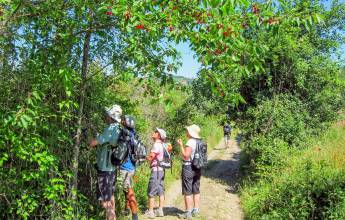 Tuscany Walks & Chianti Wines