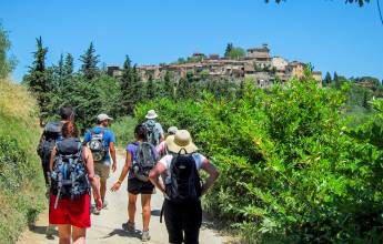 Tuscany Walks & Chianti Wines