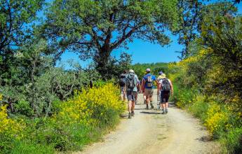 Tuscany Walks & Chianti Wines