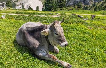 Hiking the Dolomites