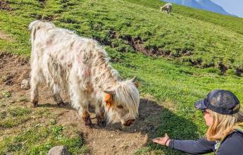 Hiking the Dolomites