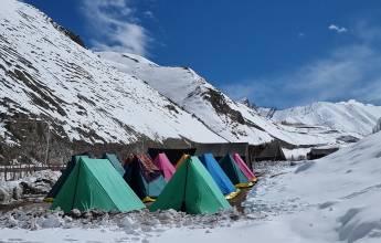 Search for Snow Leopards with Valerie Parkinson