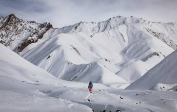 Search for Snow Leopards with Valerie Parkinson