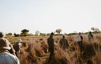 Botswana & Zimbabwe Lodge Safari