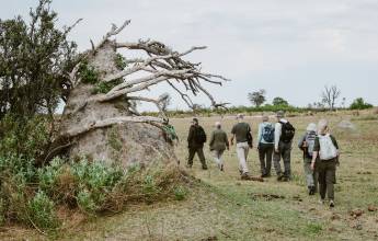 Botswana & Zimbabwe Lodge Safari