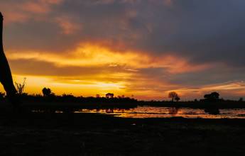 Botswana & Zimbabwe Lodge Safari