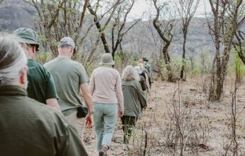 Botswana & Zimbabwe Lodge Safari