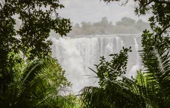 Botswana & Zimbabwe Lodge Safari
