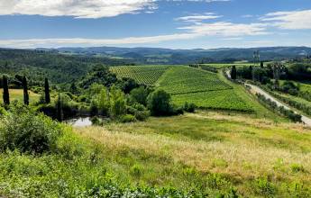 Tuscany Walks & Chianti Wines
