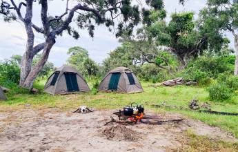 Wildlife & Wilderness of Botswana