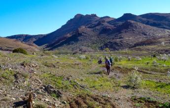 Atlas Mountains