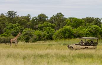 Wildlife & Wilderness of Botswana