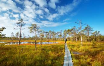 Discover the Baltics