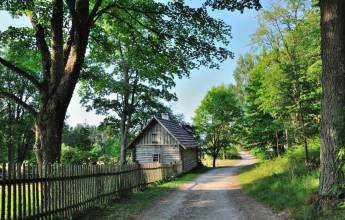 Discover the Baltics