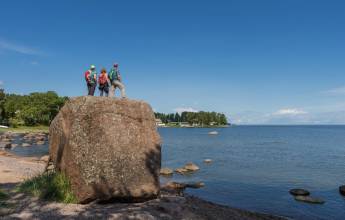 Discover the Baltics