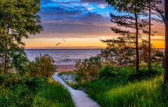 Discover the Baltics