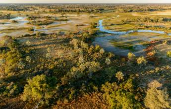 Wildlife & Wilderness of Botswana