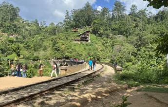 Sri Lankan Highlights