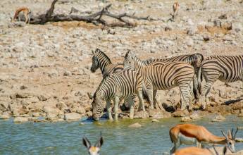 Namibian Family Adventurer