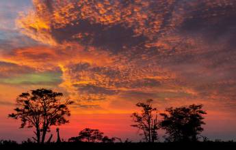 Botswana & Namibia: Delta & Dunes
