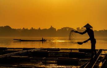 Mekong Delta