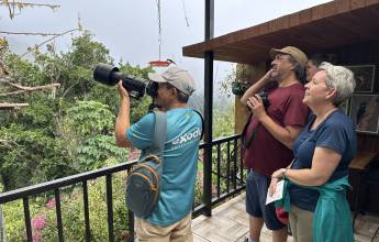 Discover Costa Rica