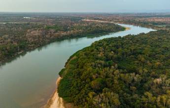 Pantanal – Land of the Jaguar