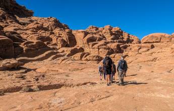 Petra & Wadi Rum Trek