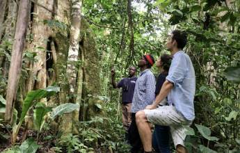 Chimps & Gorillas of Uganda